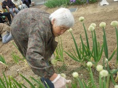 d2014.5.30 3.jpg